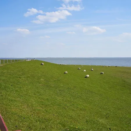 דירה Haus Deichwelle Vollerwiek