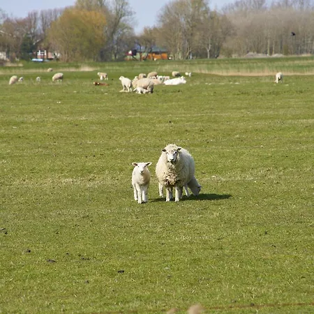 Haus Deichwelle * Vollerwiek